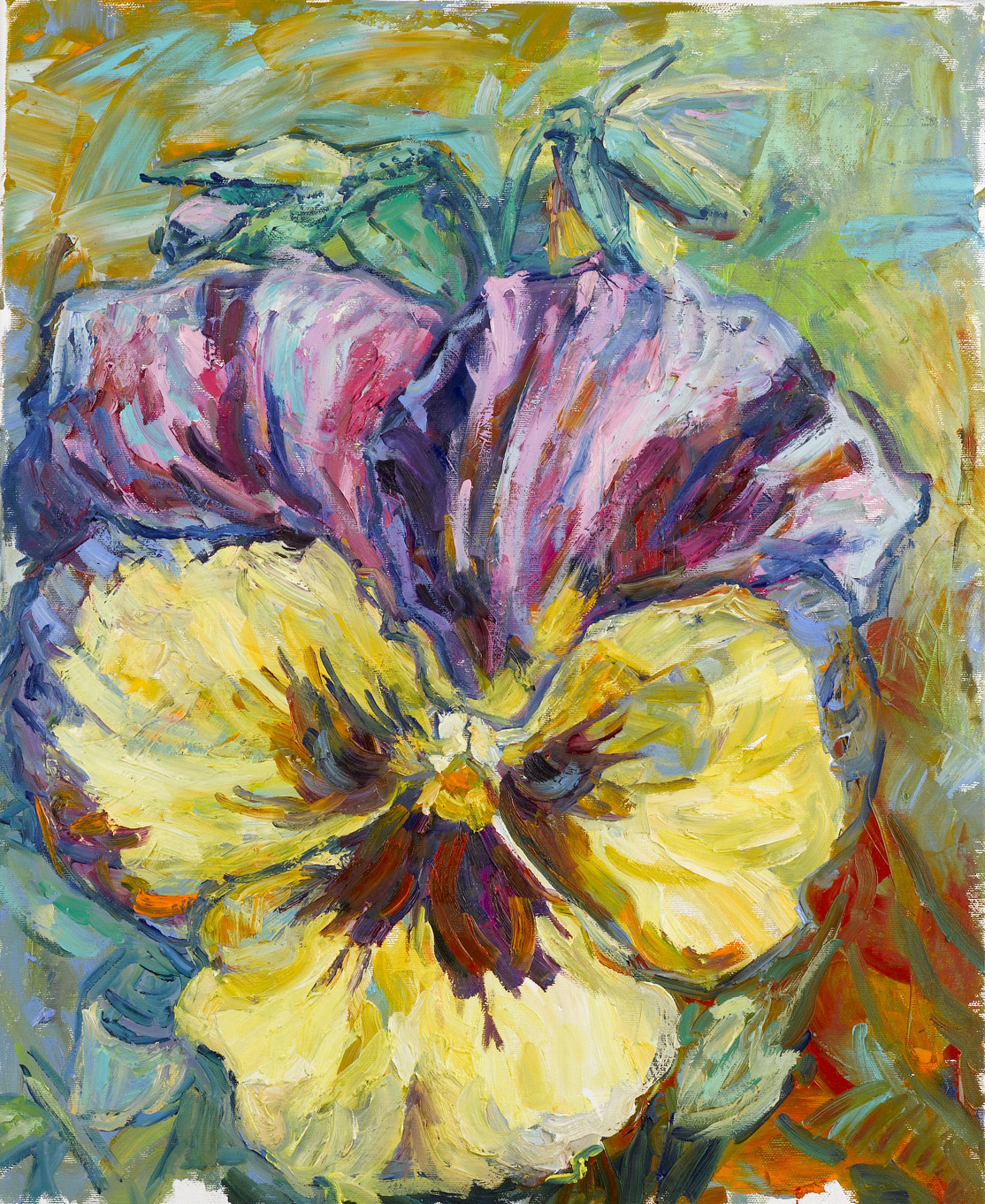 Yellow Smile (Pansy Smile)